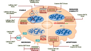 proteomics-&-drug-discovery